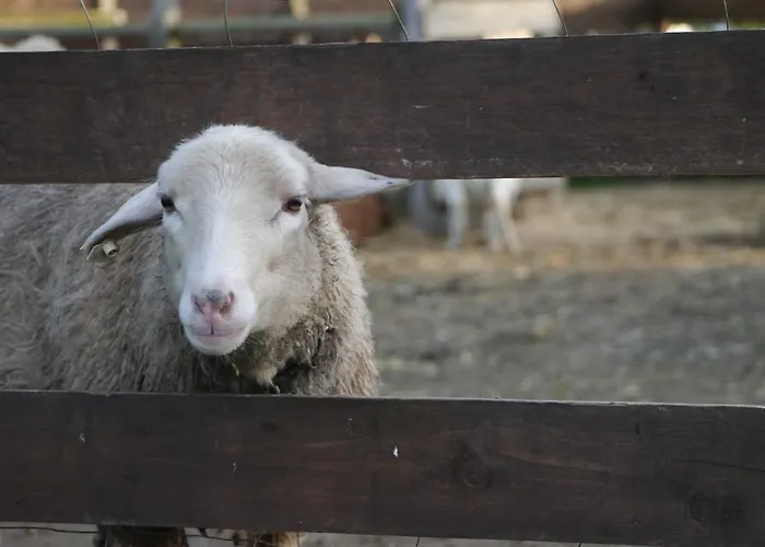Kinderbauernhof Marienhof