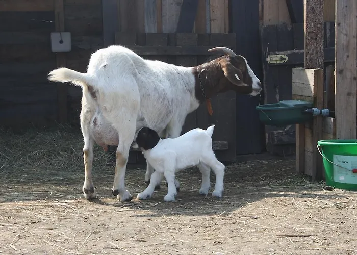 Kinderbauernhof Marienhof * Ribbeck