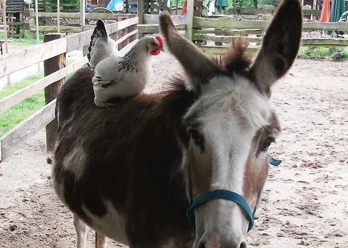 Kinderbauernhof Marienhof Ribbeck