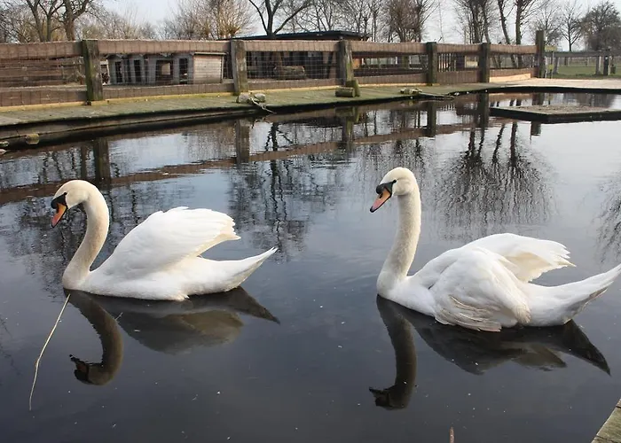 ファームステイ Kinderbauernhof Marienhof