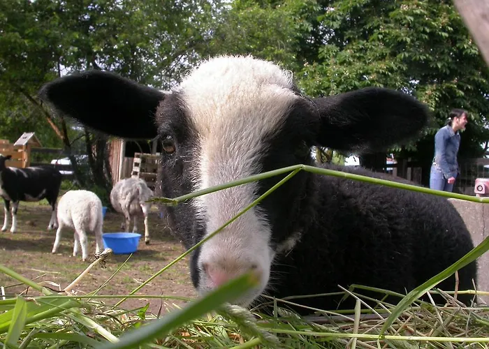 Kinderbauernhof Marienhof ファームステイ *