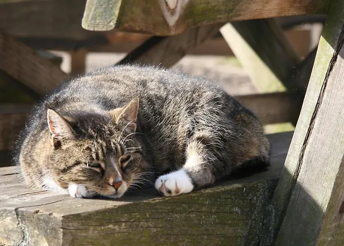 ファームステイ Kinderbauernhof Marienhof