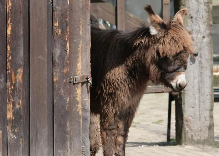 Kinderbauernhof Marienhof ファームステイ