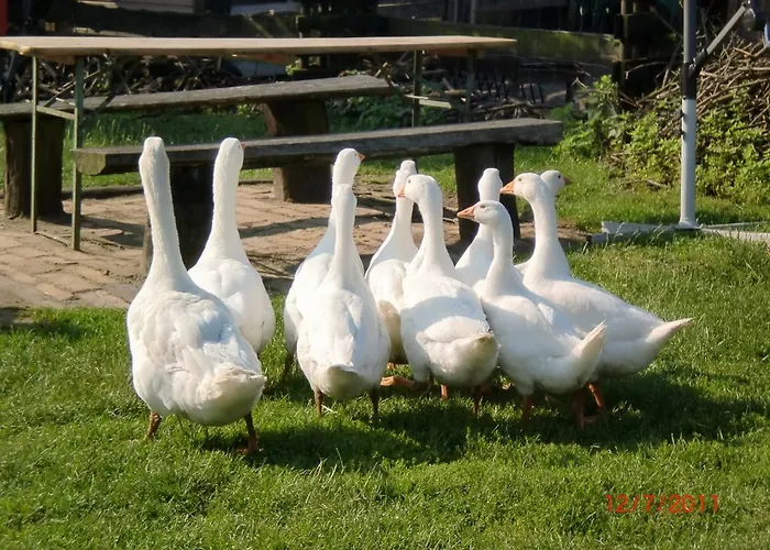 Kinderbauernhof Marienhof ファームステイ *