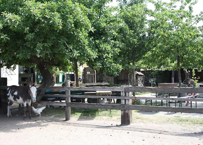 Kinderbauernhof Marienhof ファームステイ Ribbeck